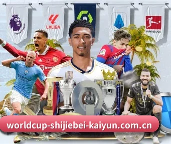 worldcup-shijiebei-kaiyun.com.cn APP